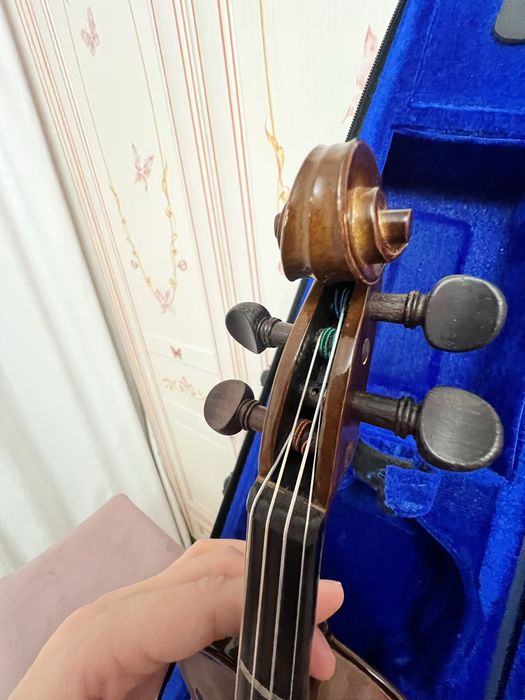 Скрипка 1/8 Stentor Student