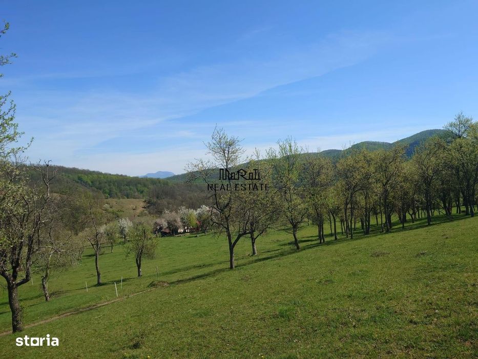 Teren intravilan si extravilan Luncoiu de Jos