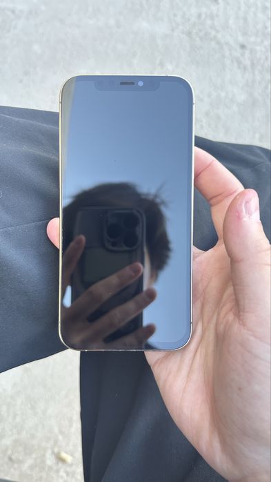 iPhone 12 pro 256 gb