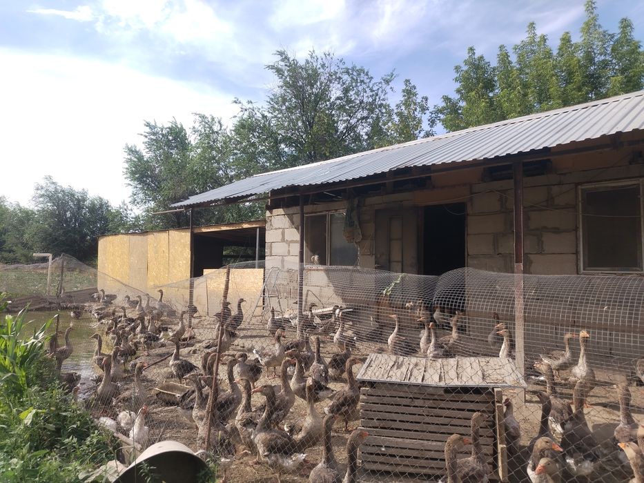 Продам дом в хорошем состоянии
