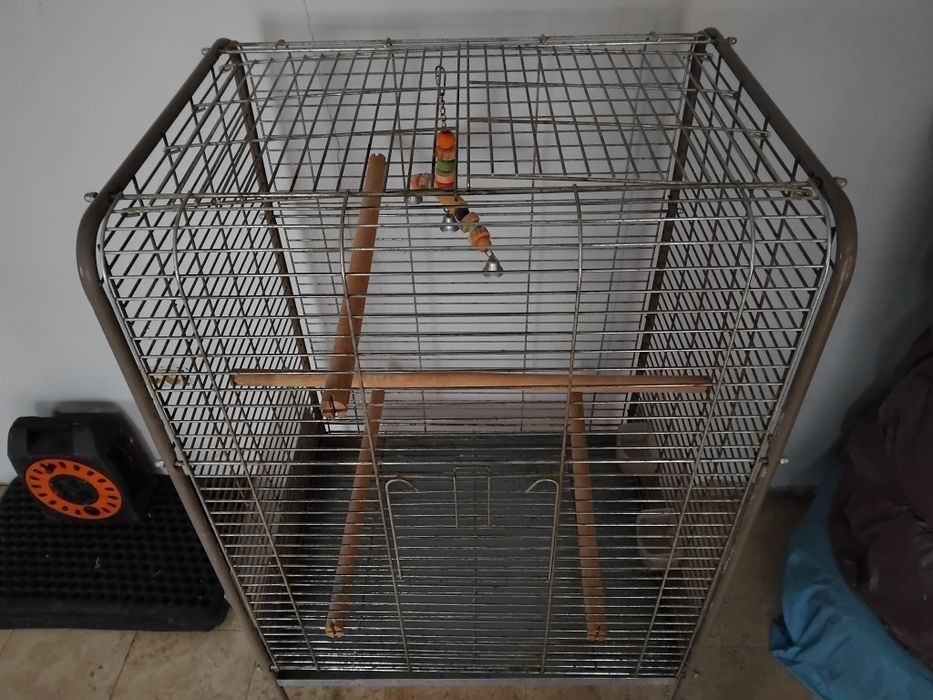 Colivie Papagali Mari