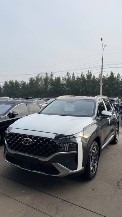 hyundai santafe 2021 /2022