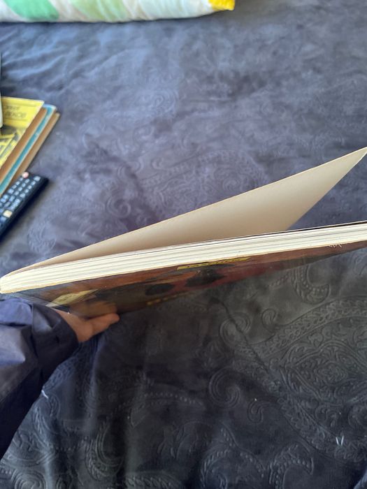 Бош албум картини голям