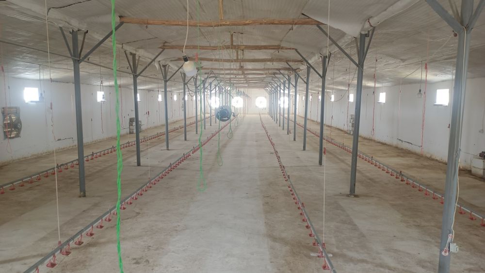Tayyor biznes sotiladi. Broiler boqish uchun. 24 sotx  Bino 6 sotx