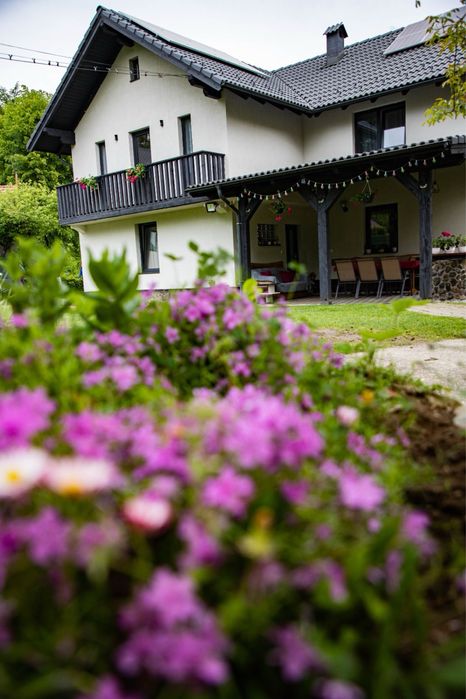 Cabana/Vila/Pensiune cu ciubar de inchiriat Valea Avrigului