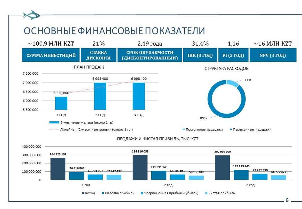 Бизнес план. Финансовая модель. Даму. ТЭО. Инвестиционный проект.