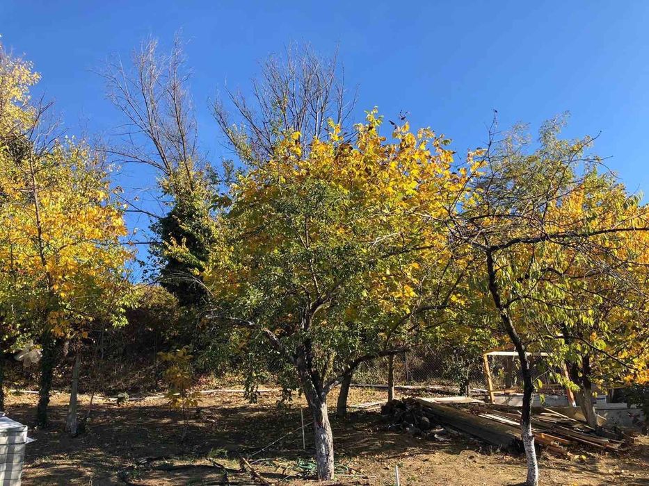 Продава се Парцел в Варна, м-т Сотира - 458 кв.м за 77 €/кв.м - Снимка #1