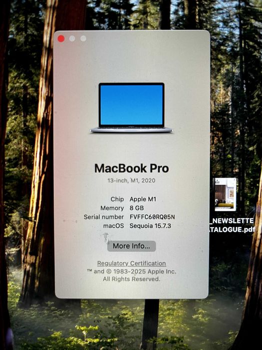 macbook pro m1 8g 256gb 13 inch 2020