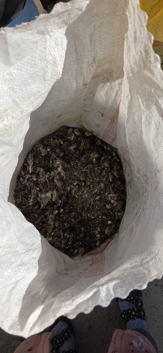 Помет перепелиный бесплатно.