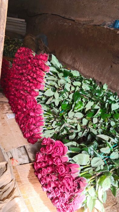 Роза местный оптом!