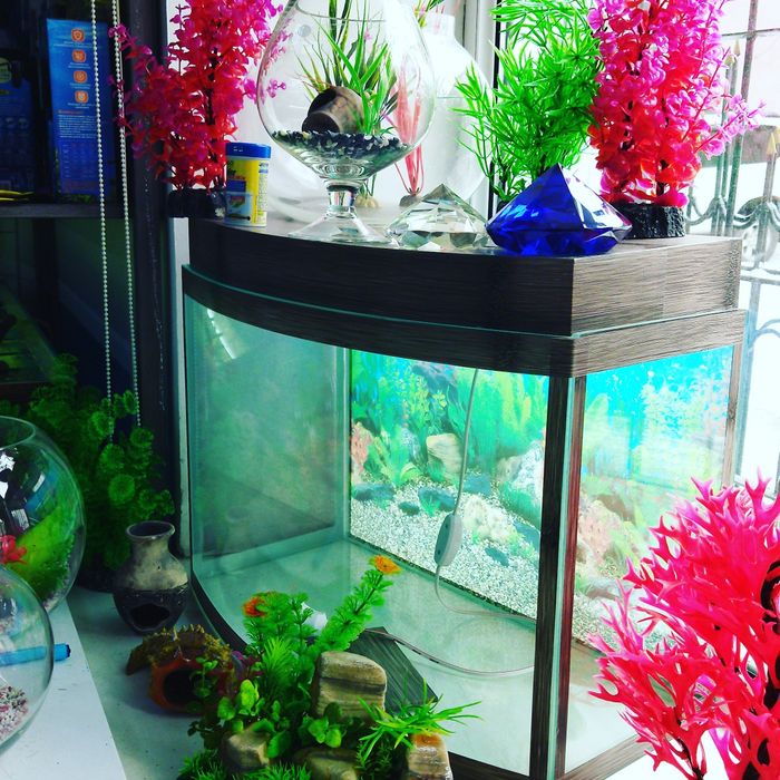 Рюмка5л .В Афалине.Навои Торайгырова