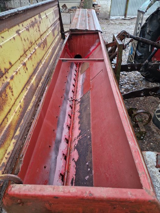 Semanatoare paioase sup 29