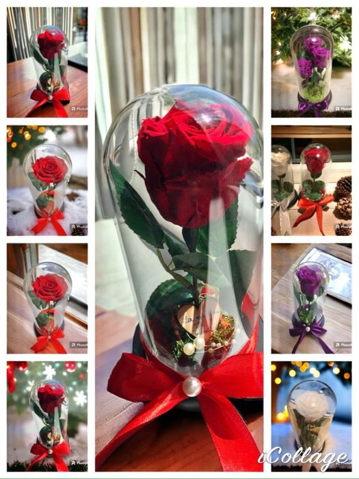 Cadou Mos Nicolae trandafiri criogenati, ursuleti