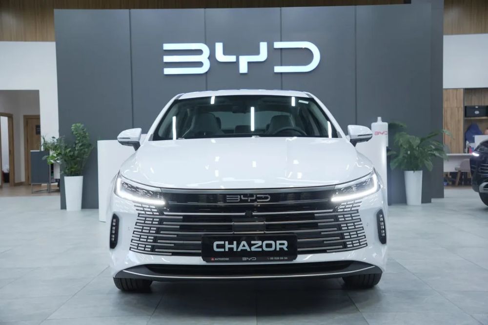 Byd chazor 55km.