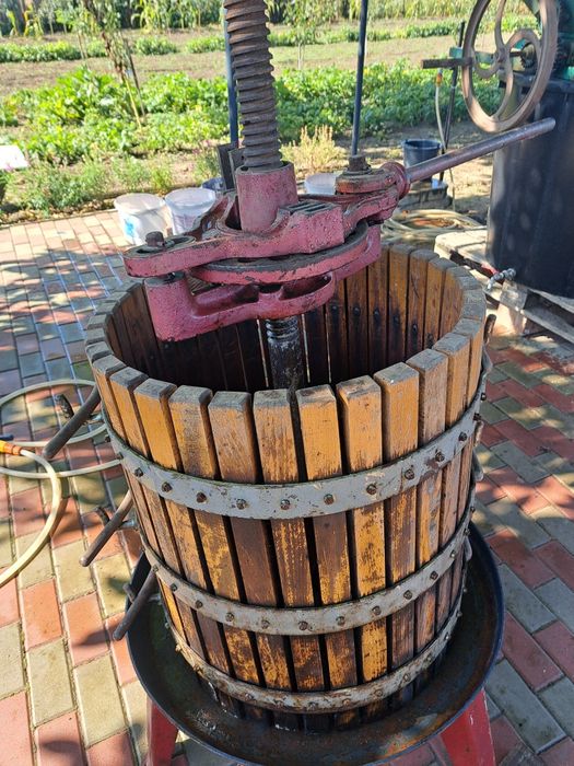 Vând teasc struguri