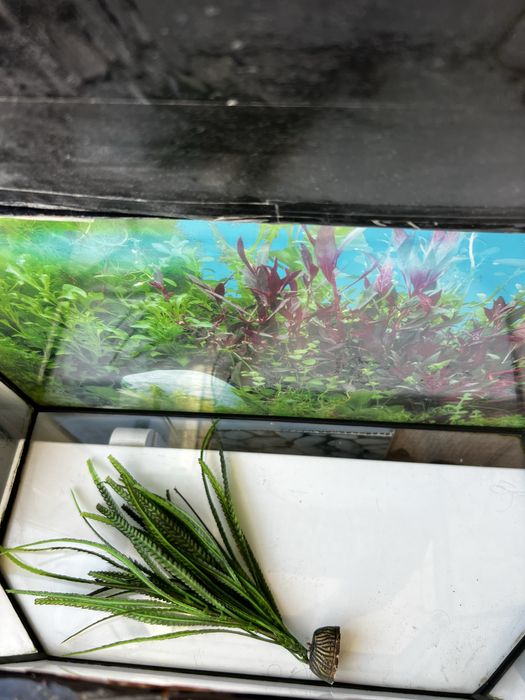 Продам аквариум в комплекте