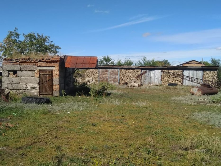 Продается дом на берегу Иртыша