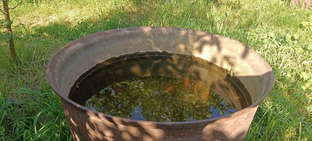 Продам большой чугунный казан