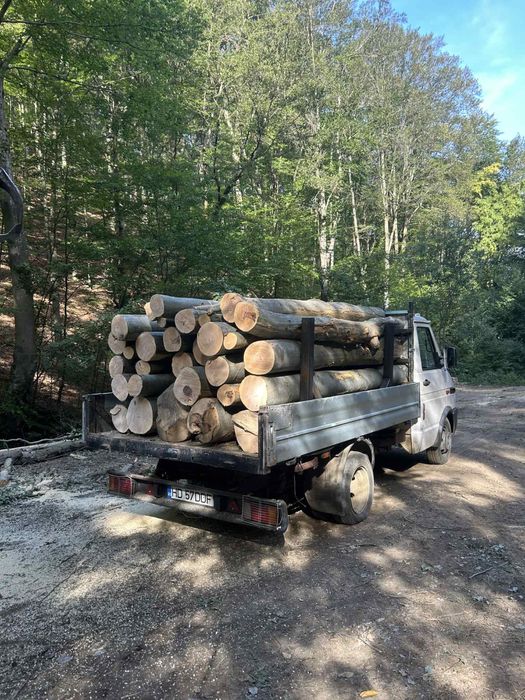 Lemn foc la 3m !! Tot judetul Hunedoara !Contra cost se taie si sparg!