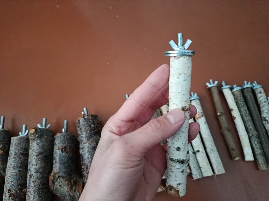 2 пара волнистий, 1 пара карелла