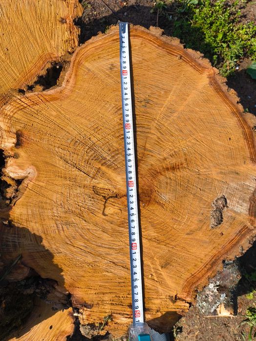 Дънери от черница