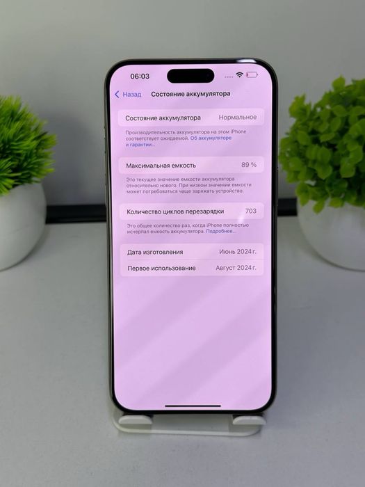 iPhone 15 Pro Max АКБ: 89%  ЦП : 703 SSD: 256 GB::);
