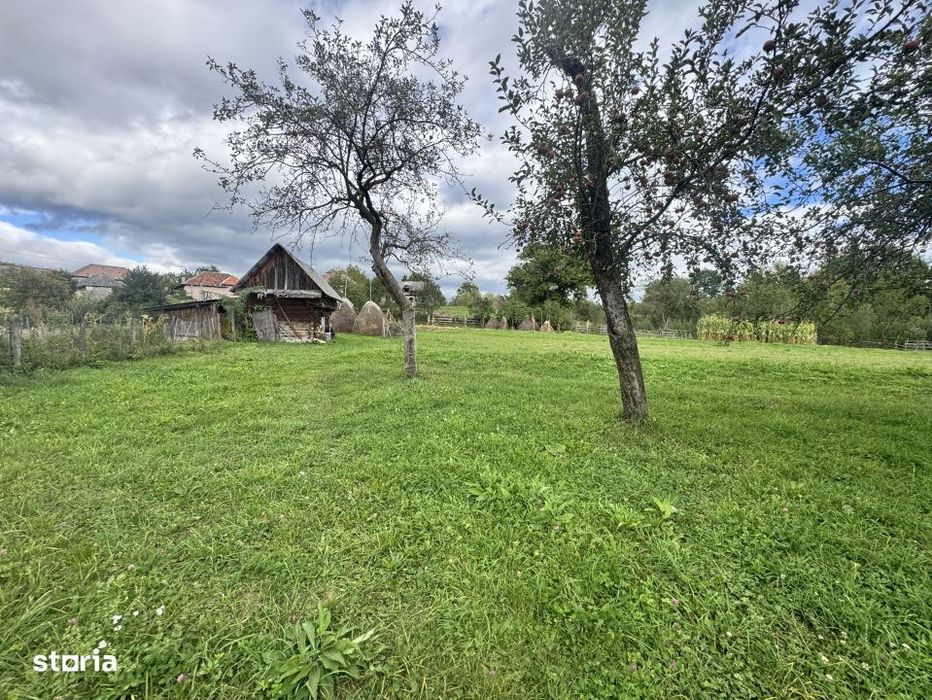 6.605 mp de natura pura – refugiu, afacere sau investitie in Candest