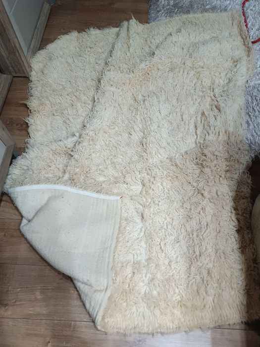 Родопски китеник