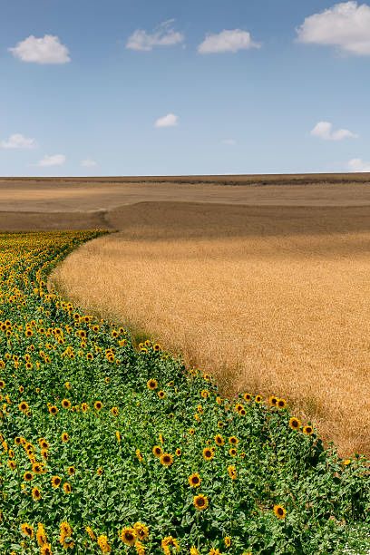 Продам фермерское хозяйство