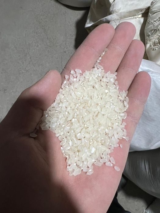 Сорт  «ЛИДЕР” Высокого Качества