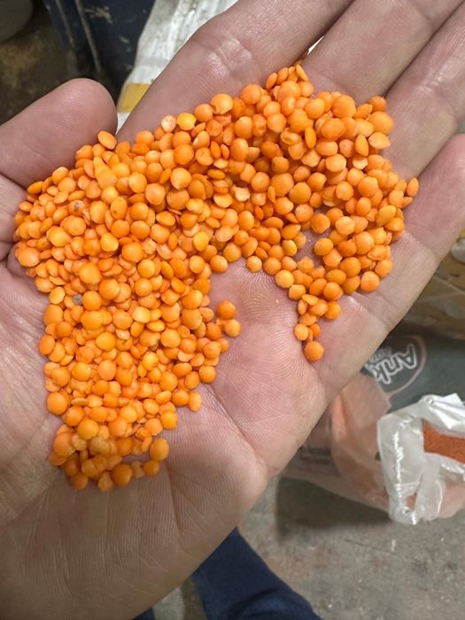 Крупы от завода оптом