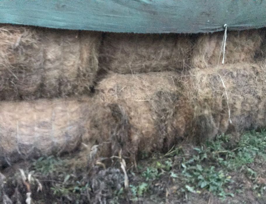 Vând baloți fan 650-850 kg