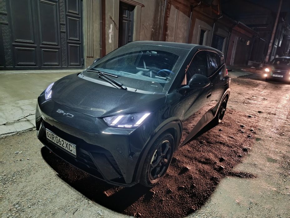 Bvd seagul 2023 qora