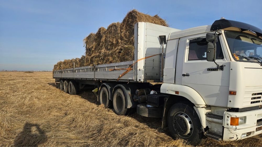 Крестьянское хозяйство