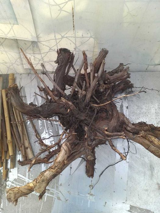 Коряга для аквариума