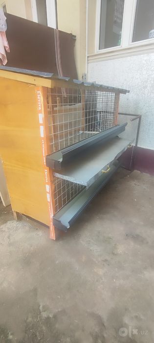 tovuq katak va krovat srochna bervoraman