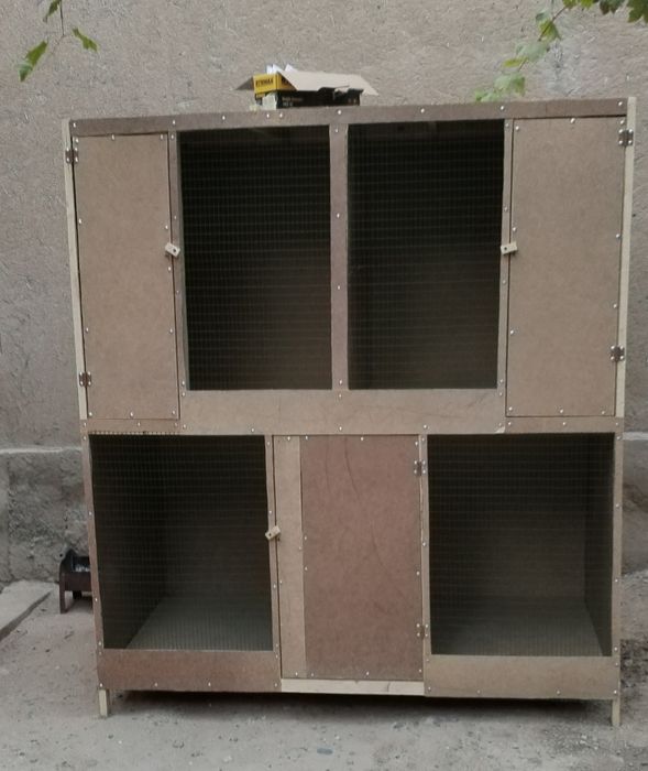 Катак товук.лар учун