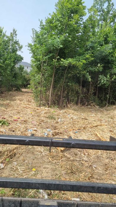 Curatare,defrisare teren, ploaia ajuta si la pret si la defrisare!