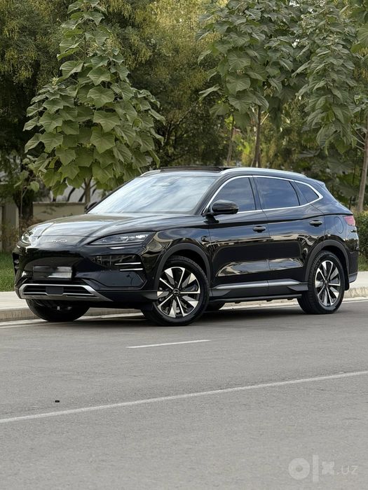 BYD chempyon SMART 605 km