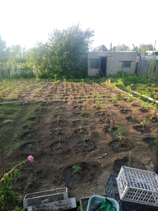 Дача сад Здоровье