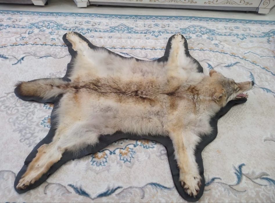 Продаем ш к у р у   Арлан