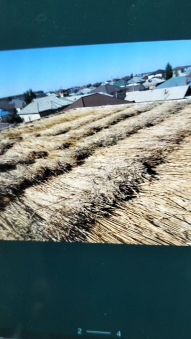 Камыс сатылады ы