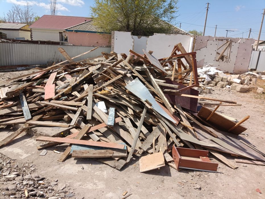 Қамыс камыш ағаштар тегін