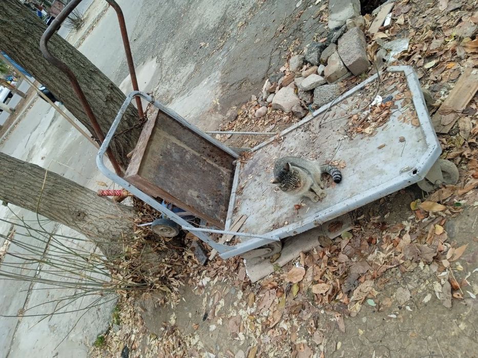 Металлалом темилар сотилади