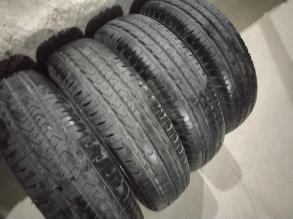 Баллон дамасники родной