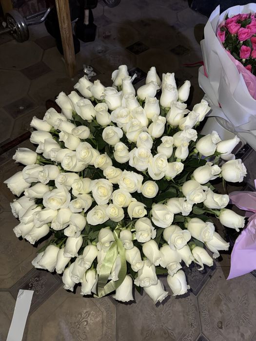 Розы свежие сегодняшние