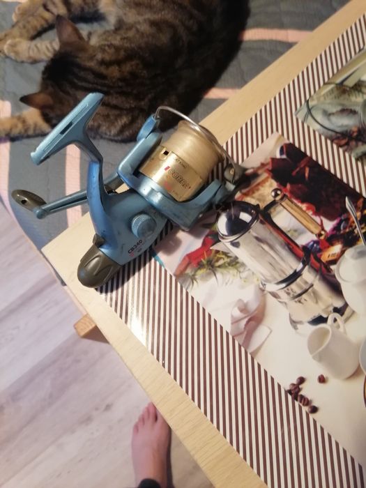 Pentru pescuit, vlober Original Abu Garcia și mulineta