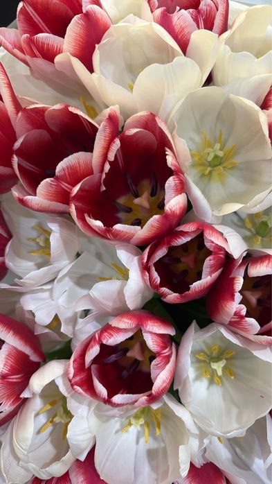 Букет цветов,тюльпаны