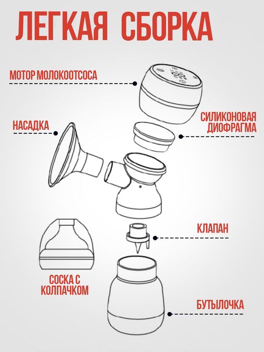 Электрический молокоотсос