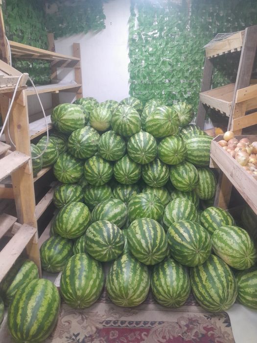 Арбуз оптом сочный